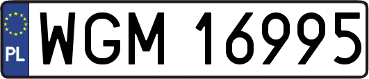 WGM16995