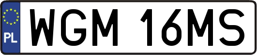 WGM16MS
