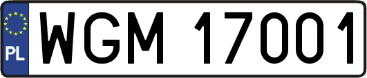 WGM17001