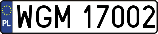 WGM17002