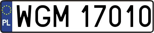 WGM17010