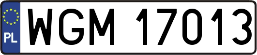 WGM17013