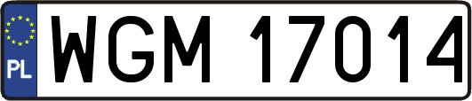 WGM17014
