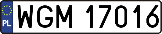 WGM17016