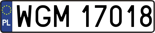 WGM17018