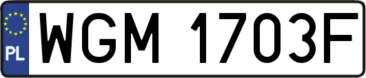 WGM1703F