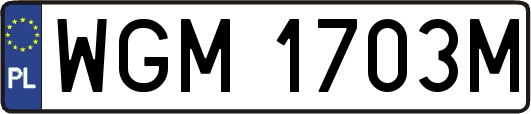 WGM1703M