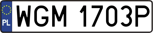 WGM1703P