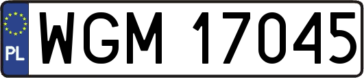 WGM17045