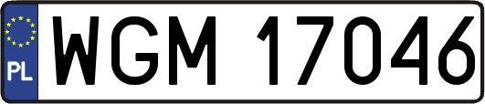 WGM17046