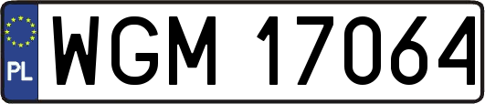 WGM17064