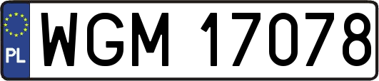 WGM17078