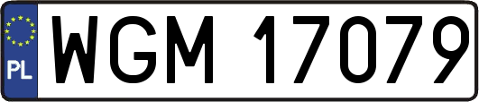 WGM17079