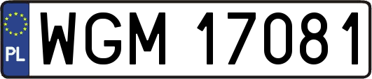 WGM17081