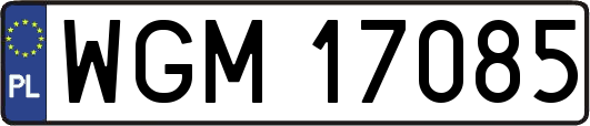 WGM17085