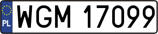 WGM17099