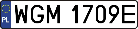 WGM1709E