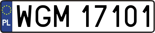 WGM17101
