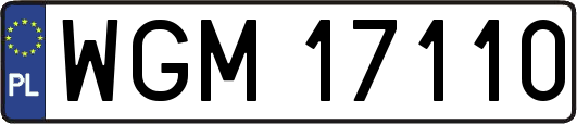 WGM17110
