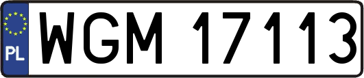 WGM17113