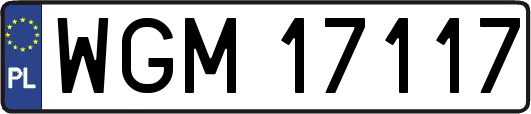 WGM17117