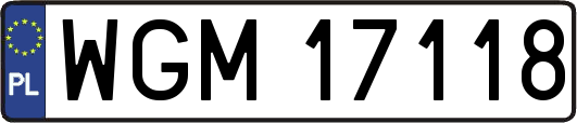 WGM17118