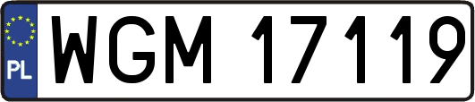 WGM17119