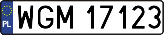 WGM17123
