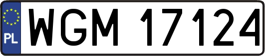 WGM17124