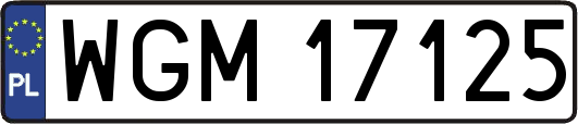 WGM17125