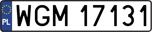 WGM17131