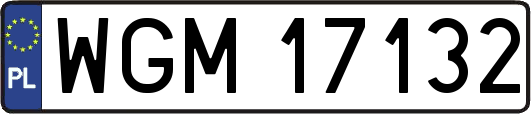WGM17132