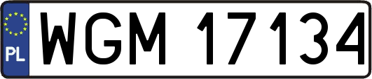 WGM17134