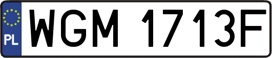 WGM1713F