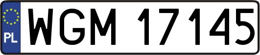 WGM17145