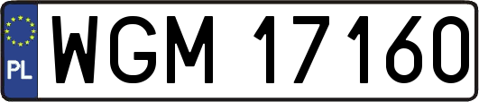 WGM17160