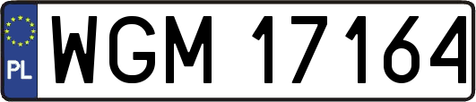 WGM17164