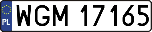 WGM17165
