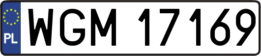 WGM17169