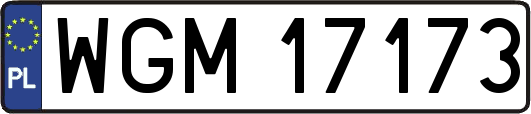 WGM17173