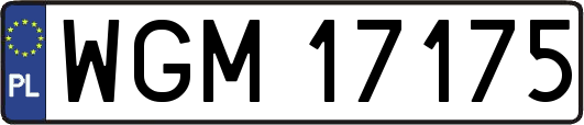 WGM17175