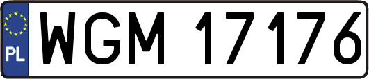 WGM17176