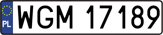 WGM17189