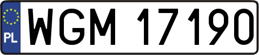 WGM17190