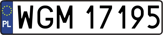 WGM17195