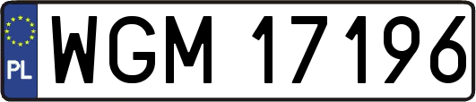 WGM17196