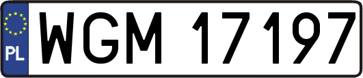 WGM17197