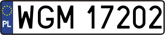 WGM17202