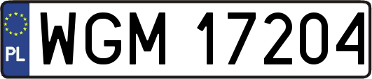 WGM17204