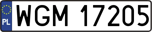 WGM17205